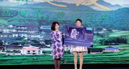 海信激光電視為何拍出65萬元天價