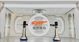 獵豹移動發布2020年Q1財報：營收5.28億元