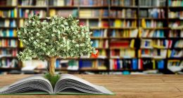 小鵝通的知識付費SaaS前行艱難