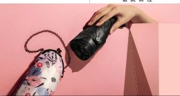 把傘的生意重新做一遍后，蕉下需要新支點(diǎn)