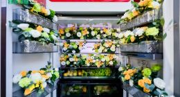 讓幸福發生，容聲606WILL養鮮冰箱重磅登場