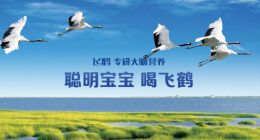 一生都是關(guān)鍵的中國人，怎能喝缺失關(guān)鍵技術(shù)的飛鶴？