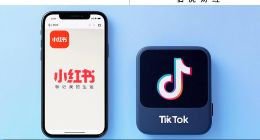 小紅書，出海靠進口