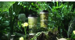 霸王茶姬走進同一條胡同