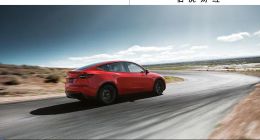 特斯拉賣車，有Model Y就行了 | 讀財報
