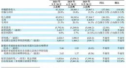 純電與全球化，理想都要