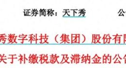 天下秀，2500萬補稅公告語焉不詳，這樣的信披質量也算合格？